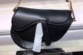 디올 새들백 19cm 0168