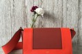셀린느 프레임백 43343-12