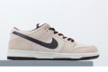 Nkie SB Dunk Low Pro