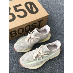 Adidas YEEZY Boost 350