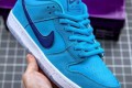 Nike SB Dunk Low Pro
