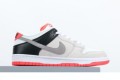 Nike SB Dunk Low Pro ISO