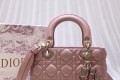 디올 레이디백 20cm