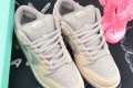 Nike Zoom Dunk Low TRD