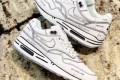 NIKE AIR MAX 1 SKETCH TO SHEL SJD CJ4286-101