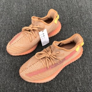 Adidas YEEZY Boost 350 V2