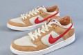 Nike Dunk Tom Sachs