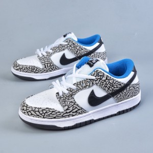 Nike Dunk SB Viotech
