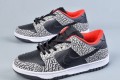Nike Dunk SB Viotech