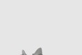 [YEEZY-이지부스트]350 V2 트루폼 EG7492
