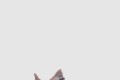 [YEEZY-이지부스트]350 V2 신스 FV5578