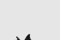 [YEEZY-이지부스트]350 V2 브레드 CP9652