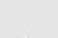 [YEEZY-이지부스트]350 V2 크림 화이트 CP9366