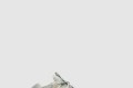 [YEEZY-이지부스트]500 솔트 EE7287