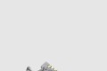 [YEEZY-이지부스트]700 웨이브러너 B75571