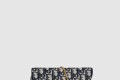[DIOR-디올]새들 WOC S5614