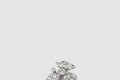 [CARTIER-까르띠에]플뤼 드 까르띠에 반지 N4752900