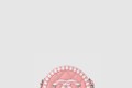 [CHANEL-샤넬]코스메틱 이브닝백 AP0365