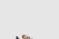 [NIKE-나이키]사카이 베이퍼와플 세서미 DD1875