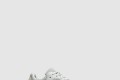 [YEEZY-이지부스트]700 솔트 EG7487