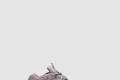 [YEEZY-이지부스트]500 소프트비전 FW2656