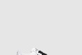 [NIKE-나이키]에어포스 1 x GD 파라노이즈 2.0 DD3223