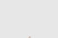 [LOUIS VUITTON-루이비통]이딜 블라썸 스터드 귀걸이 Q96169