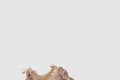 [BALENCIAGA-발렌시아가]트랙슈즈 542436