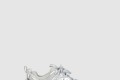 [BALENCIAGA-발렌시아가]트랙슈즈 542436