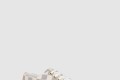 [LOUIS VUITTON-루이비통]스텔라 스니커즈 1A4XMQ