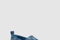 [LOUIS VUITTON-루이비통]스타보드 플랫 에스파듀 1A7RII