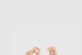 [BULGARI-불가리]세르펜티 바이퍼 귀걸이 358361