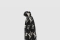 [LOUIS VUITTON-루이비통]크래프티 바이 컬러 엔비 LV 방도 M76501