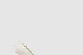 [JIMMY CHOO-지미추]Love 85