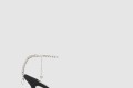 [JIMMY CHOO-지미추]Saeda 100
