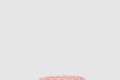 [GOYARD-고야드]캅베르 백 PM