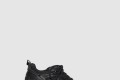 [BALENCIAGA-발렌시아가]엑스 팬더 스니커즈 653870