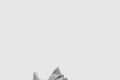 [YEEZY-이지부스트]350 V2 예사야 FX4348