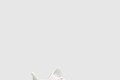 [YEEZY-이지부스트]350 V2 본 HQ6316