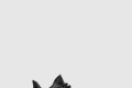 [YEEZY-이지부스트]350 V2 모노 신더 GX3791