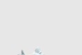 [YEEZY-이지부스트]350 V2 모노 아이스 GW2869