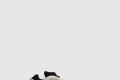 [YEEZY-이지부스트]700 V3 아자엘 FW4980