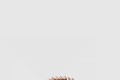 [CARTIER-까르띠에]클래쉬 드 까르띠에 반지 B4237800