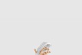 [CHAUMET-쇼메]인솔랑스 반지 082939