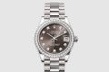 [ROLEX-롤렉스]데이저스트 31 278289RBR