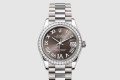 [ROLEX-롤렉스]데이저스트 31 278289RBR