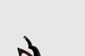 [LOUBOUTIN-루부탱]Hot Chick Sling 3220303