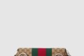 [GUCCI-구찌]홀스빗 체인 미듐 숄더백 764255