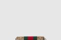 [GUCCI-구찌]홀스빗 체인 스몰 숄더백 764339