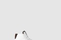 [LOUIS VUITTON-루이비통]Charlie Sneaker 1AADRA